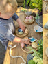 Sensory Stones - Seashells - louisekool
