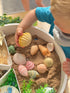 Sensory Stones - Seashells - louisekool