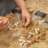 Shark Teeth Set - 40 Pieces - louisekool