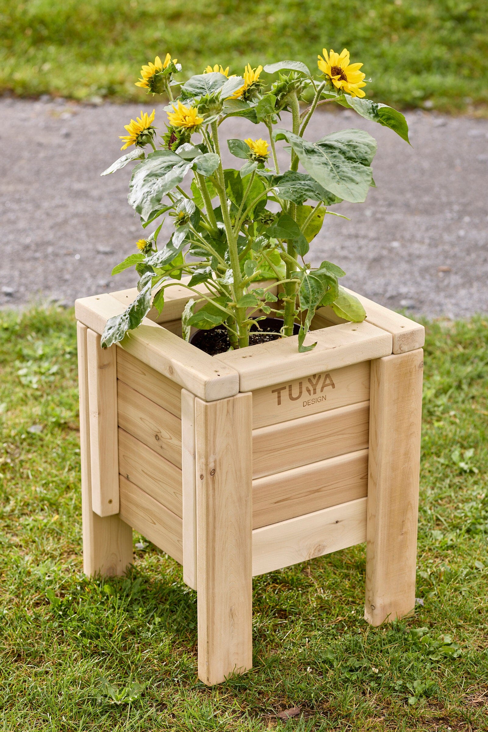 TUYA Small Planter - louisekool