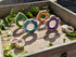 Who's Hiding - Garden Bugs - louisekool