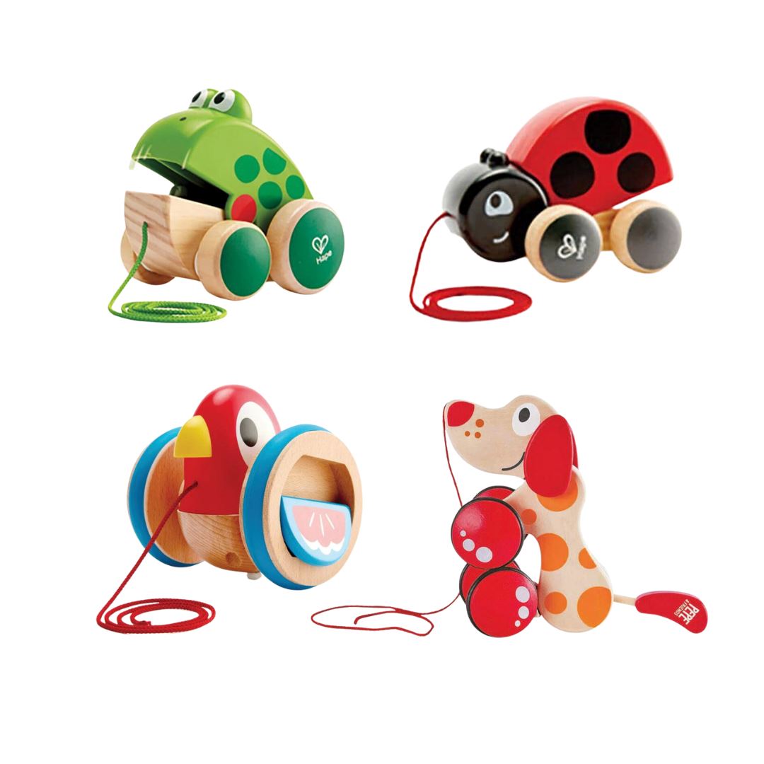 Wooden Push/Pull Along Toys - Set of 4 - louisekool