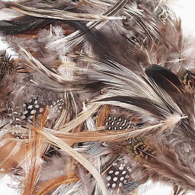 Assorted Natural Feathers - louisekool