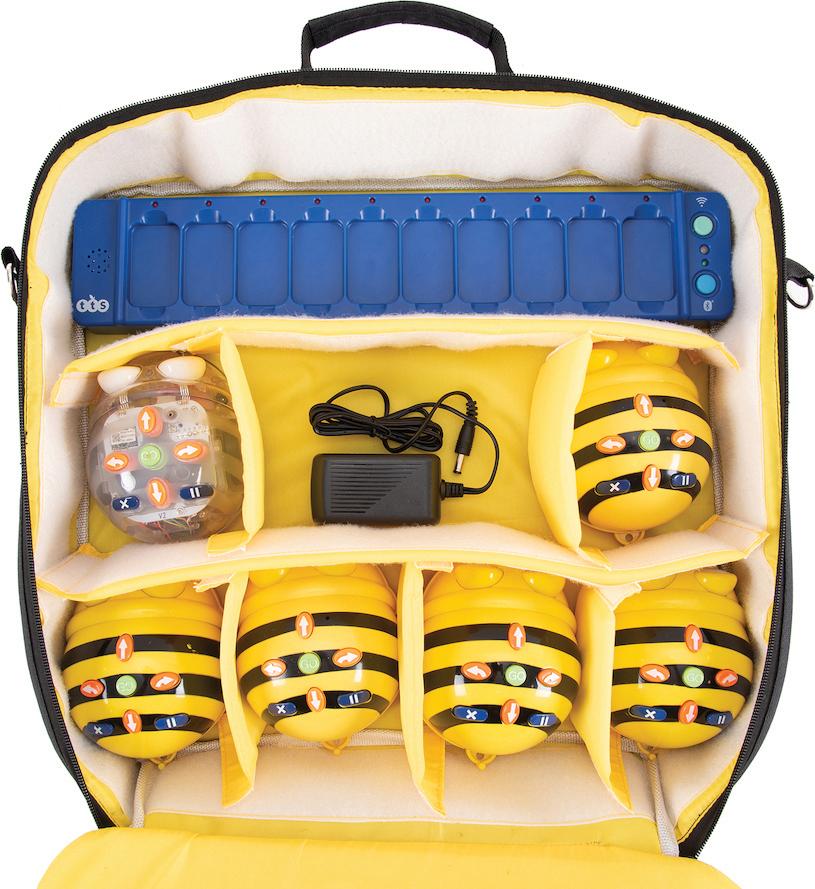 Bee-Bot and Blue-Bot Storage Bag - louisekool