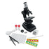 Elite Microscope - louisekool
