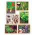 Growing Up Green Healthy Eating Puzzles - louisekool