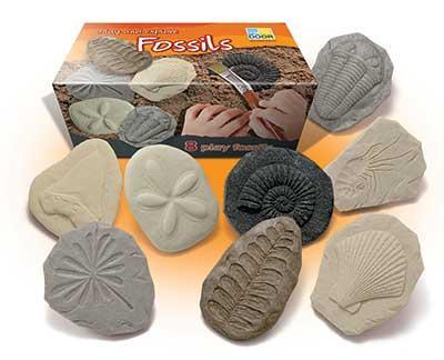 Play and Explore Fossils - louisekool