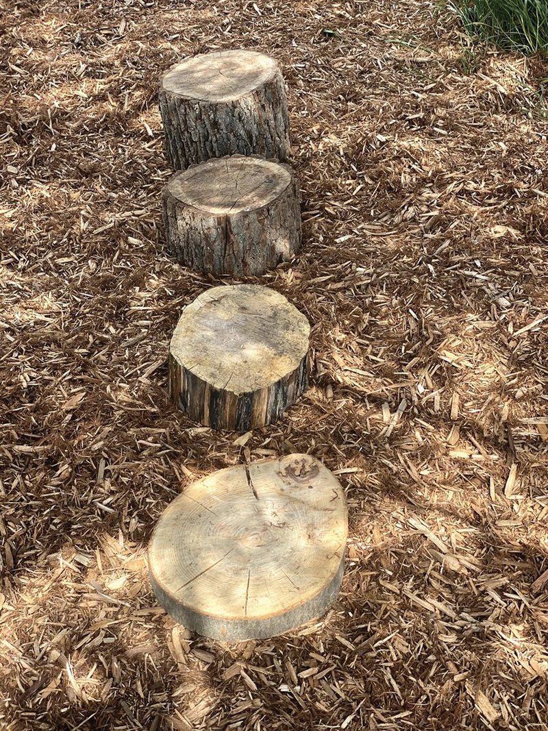 Children Embedded Log Path Open Ended, Flexible and Adaptable – tagged