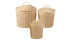 Tall Plastic Woven Baskets and Lids Set of 3 - louisekool