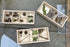 Wood Discovery Boxes - Set of 3 - louisekool